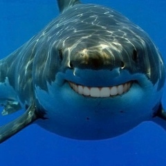 Александр Акулов, 31.08, Балашиха