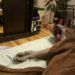 Алексей Лабунский, 06.08.1983, Москва