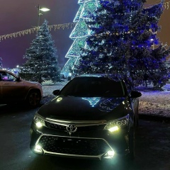 Алим Мурадов, 19.02, Алматы