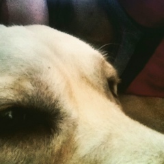 Дана Чайко, 28.05.2001, Москва