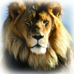 Игорь Полетаев, 30.05.1984, Нижний Новгород