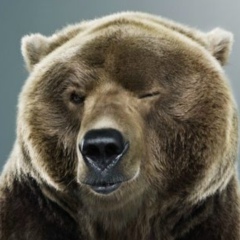 Виктор Крамской, 23.03.1993, Санкт-Петербург