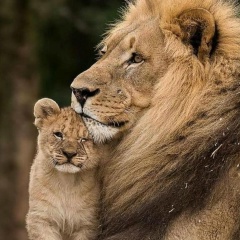 Asset Takosh, 01.03.1991, Алматы