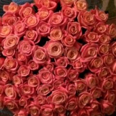 Радда Туменова, 25.11.1986, Нальчик