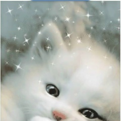 Thomaz Jr, 22.02.1998, Москва