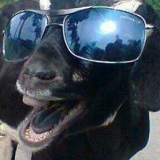 Коза Суп, 28.02.1998, Douglas