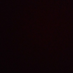 Антон Кудь