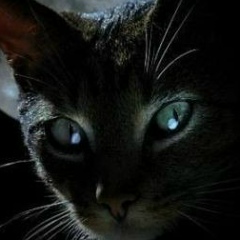 Инна Волкова, 08.12, Кронштадт