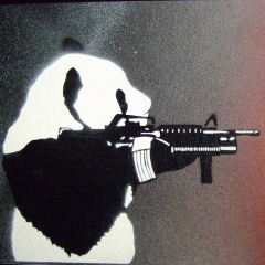 Damir Bayash, 01.02.1994, Астана