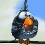 Ольга Макарова, Санкт-Петербург