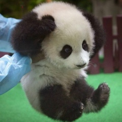 Александр Богданов, 10.10, Ивантеевка