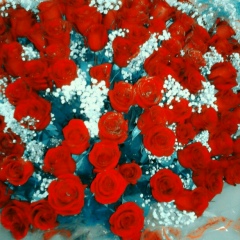 ツ ツ, 28.01.1993, Гудермес