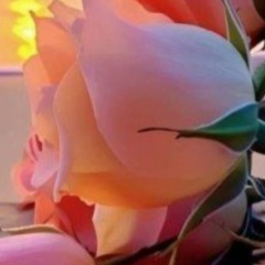 Татьяна Колосова, 01.01, Санкт-Петербург