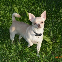 Наталья Воронкова, 30.04, Балашиха