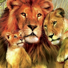 Виталина Мунт, 09.12, Астана