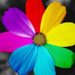 Елена Фролович, 24.08, Санкт-Петербург