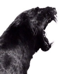 Иван Петров, 11.11.1992, Москва