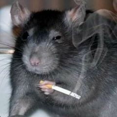 Даниил Веряскин, 29.12.2000