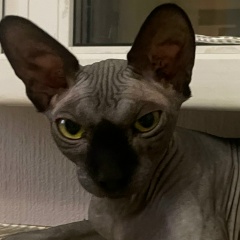 Паша Щепетков, 10.07, Санкт-Петербург