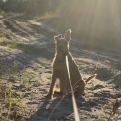 Софья Сургутская, 02.09, Ноябрьск