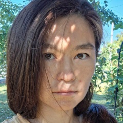 Aynur Shauermann, Гальбштадт