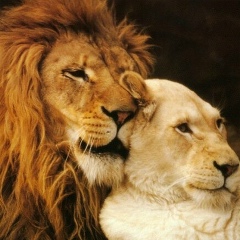 Юлия Очирова, 19.06