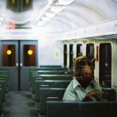 Эмиль Зиганша, 21.05, Москва