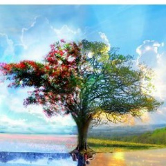 Алексей Пахомов, 14.01, Санкт-Петербург