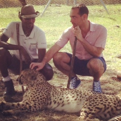 Vahe Melikyan, 22.11, Киев