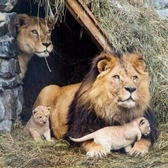 Артем Вольский, 07.05, Актау