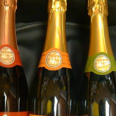 Ульяна Садченко, 14.11, Чернигов