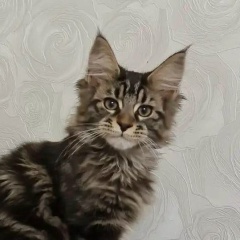 Лариса Мусина, 11.09.1984, Белорецк