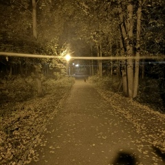 Алексей Дрёмов, 21.07.1985, Димитровград