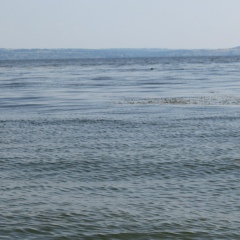 Люда Бородина, 14.03, Днепр (Днепропетровск)