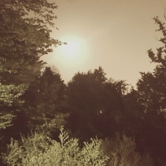 Александр Вайнеров, 31.03