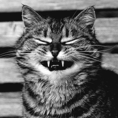 Евгений Бизяев, 16.08.1986, Актобе