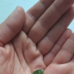 Ильяс Байчиков, 28.10.1988, Симферополь