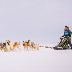 Мария Афонина, 11.04.1989, Тюмень