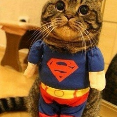 Иришка Сергеева, 14.10.1989, Москва