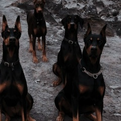 Иван Иванов, 22.10, Новый Уренгой