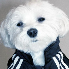 Гриша Бурков, 09.01, Киров