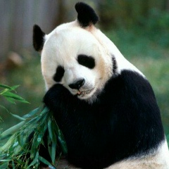 Вера Кметюк, 20.09.1987, Киев