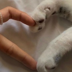 Юля Сафаргалина, 16.10, Уфа