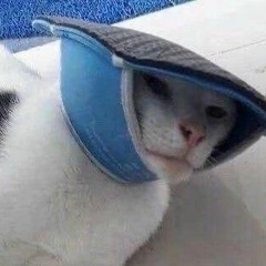 雪乃 雪乃, 16.12