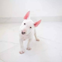 Наталья Фетисова, 11.11