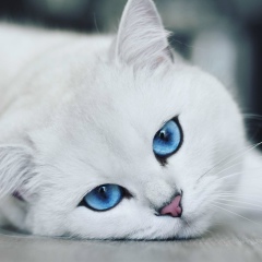 Наталья , 08.09, Евпатория