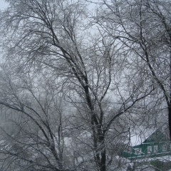 Татьяна Авдонина, Пермь