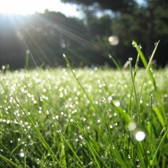 Вадим Киселёв, 17.01.1985