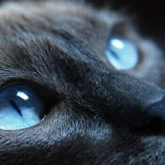 Сандра Божко, 30.01, Москва