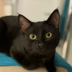 Владимир Девятов, 07.01.1984, Набережные Челны